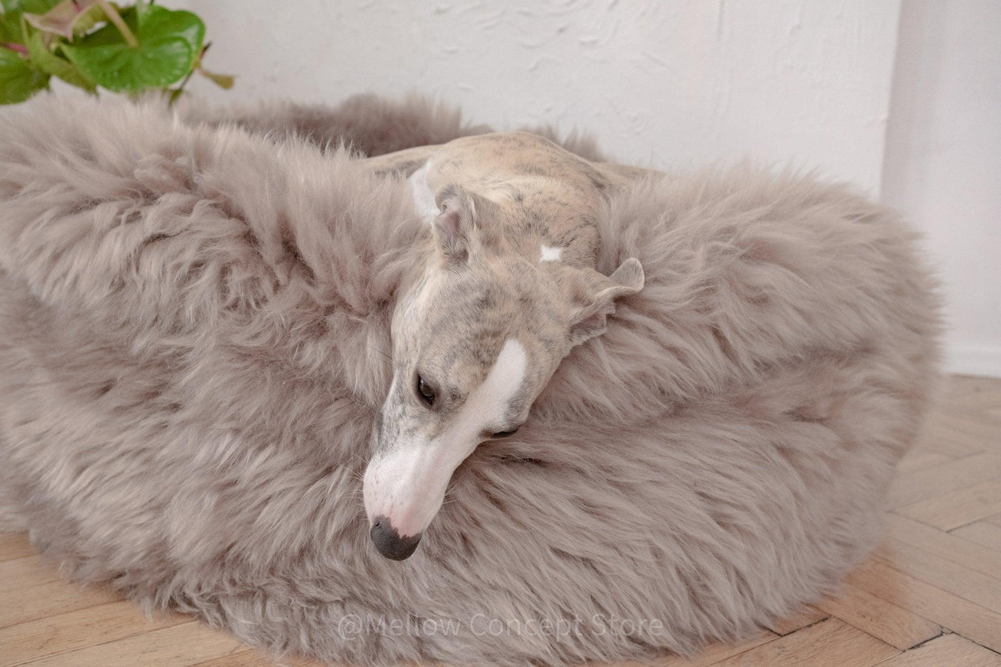 Lit ovale en peau de mouton naturelle pour animaux de compagnie - Greige