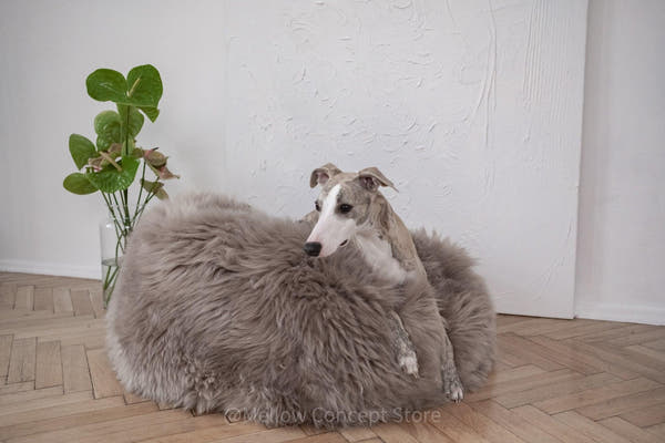 Lit ovale en peau de mouton naturelle pour animaux de compagnie - Greige