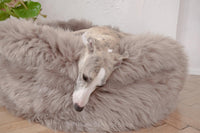 Lit ovale en peau de mouton naturelle pour animaux de compagnie - Greige